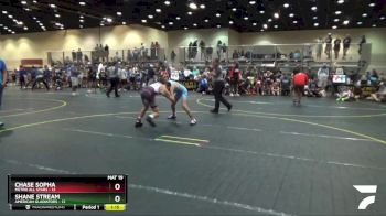 110 lbs Semis & 1st Wrestleback (8 Team) - Shane Stream, American Gladiators vs Chase Sopha, Metro All Stars