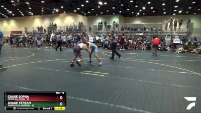 110 lbs Semis & 1st Wrestleback (8 Team) - Shane Stream, American Gladiators vs Chase Sopha, Metro All Stars