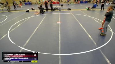 138 lbs Cons. Semi - Benjamin Gunlogson, Berge Elite Wrestling Academy vs Braydon Kierstead-Hahn, Minnesota