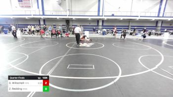 141 lbs Quarterfinal - Gabe Willochell, Edinboro vs Zach Redding, Iowa State