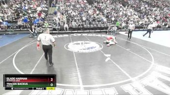 132 lbs Quarterfinal - Glade Harman, Mountain View vs Tracen Backus, Payson