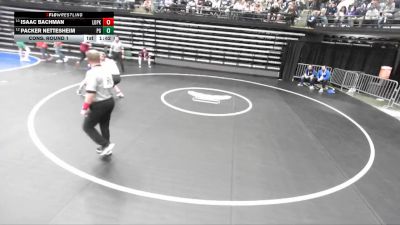 6A 126 lbs Cons. Round 1 - Packer Nettesheim, Pleasant Grove vs Isaac Bachman, Lone Peak