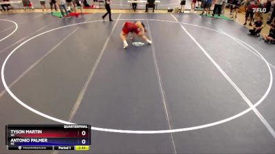 215 lbs Quarterfinal - Tyson Martin, WI vs Antonio Palmer, NE