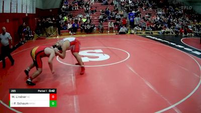 285 lbs Cons. Round 3 - Payton Schaum, Mount Pleasant Area Hs vs Max Lindner, North Catholic