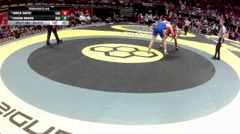 D2-215 lbs Cons. Round 2 - Chase White, Madison vs Vince Sefic, Carroll