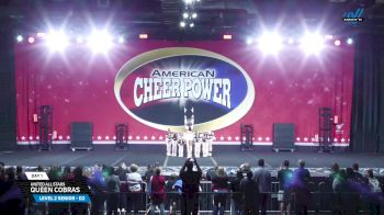 United All Stars - Queen Cobras [2025 L2 Senior - D2 Day 1] 2025 Cheer Power Grand Nationals