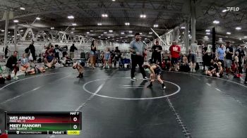 48 lbs Finals (2 Team) - Mikey Pannorfi, Elite Squeeze vs Wes Arnold, Pride WC