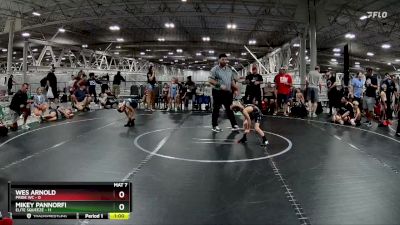 48 lbs Finals (2 Team) - Mikey Pannorfi, Elite Squeeze vs Wes Arnold, Pride WC