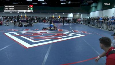 165 lbs 7th Place - Jaelen Culp, SC vs Liam Crook, WI