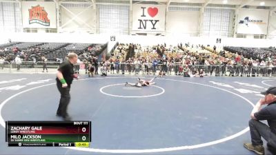 58 lbs Quarterfinal - Milo Jackson, SV Saber Den Wrestling vs Zachary Gale, LeRoy Wrestling