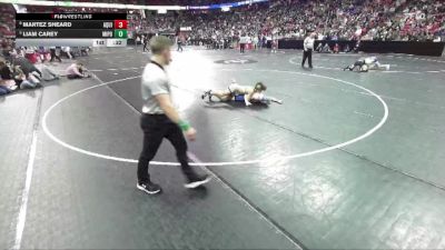 D3-120 lbs 5th Place Match - Martez Sheard, Aquinas vs Liam Carey, Mineral Point