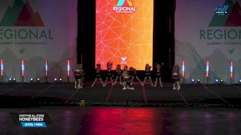 GymTyme All-Stars - Honeybees [2025 L1 Mini 04/12/2025] 2025 The Midwest Regional Summit