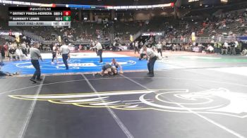 Quarterfinal - Britney Pineda-Herrera, Omaha Buena Vista vs Surenity Lewis, Alliance