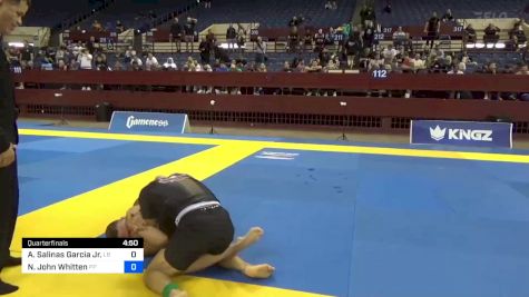 Alfonso Salinas Garcia Jr. vs Nicholas John Whitten 2024 Pan IBJJF Jiu-Jitsu No-Gi Championship