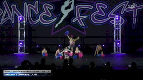 Dynasty Dance Studio [2026 Tiny - Intermediate - Pom Day 2] 2026 DanceFest Grand Nationals