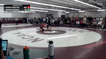 157 lbs 3rd Place Match - Vincent Costabilo, Iowa Lakes CC vs Gunner Hostetter, MSU Moorhead