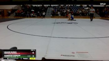 125 lbs Finals (2 Team) - Anakin Burks, Shenandoah University vs Harrison Gordon, Johnson & Wales (RI)