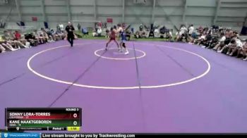 138 lbs Round 3 (8 Team) - Sonny Lora-torres, California vs Kane Naaktgeboren, Iowa