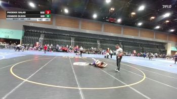 138 lbs Cons. Round 3 - Phoenix Salas, Modesto vs Connor Olson, Harrisburg