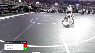 75 lbs Round Of 16 - Colby White, CIWC Team Intensity vs Colt Hogue, Terminator Wrestling Academy