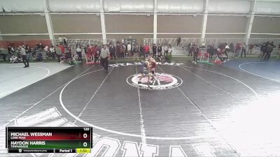 120 lbs Champ. Round 2 - Haydon Harris, Timpanogos vs Michael Wessman, Lone Peak