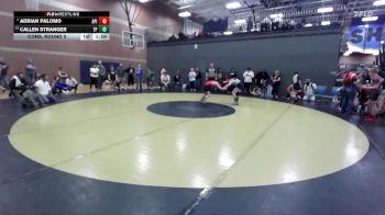 112 lbs Cons. Round 3 - Adrian Palomo, Anderson Performance Institute vs Callen Stranger, Terreton Panthers