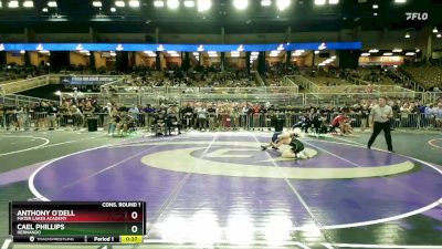 1A 132 lbs Cons. Round 1 - Anthony O`Dell, Mater Lakes Academy vs Cael Phillips, Hernando