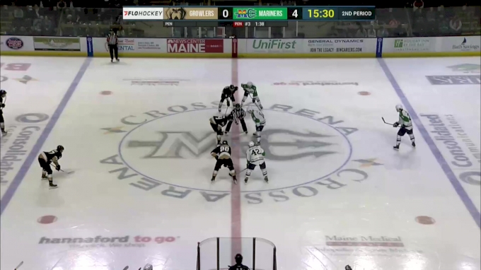 Event Feedback: Maine Mariners vs. Newfoundland Growlers - ECHL