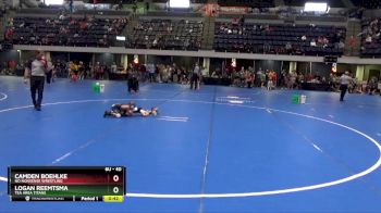 40 lbs Round 3 - Logan Reemtsma, Tea Area Titans vs Camden Boehlke, No Nonsense Wrestling