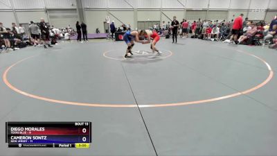 113 lbs Quarters & 1st Wb (16 Team) - Diego Morales, Texas Blue vs Cameron Sontz, New Jersey