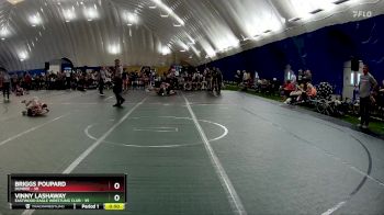 48 lbs Quarterfinal - Briggs Poupard, Dundee vs Vinny Lashaway, Eastwood Eagle Wrestling Club