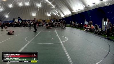 48 lbs Quarterfinal - Briggs Poupard, Dundee vs Vinny Lashaway, Eastwood Eagle Wrestling Club