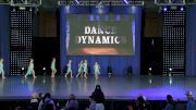 Dance Dynamics [2019 Tiny Contemporary/Lyrical Day 2] NDA All-Star National Championship