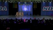 Dance Dynamics Mini Elite [2019 Mini Contemporary/Lyrical Day 1] NDA All-Star National Championship