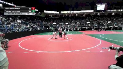 90 lbs Champ. Round 1 - Briar Littleton, TWM1 vs Neil Neitenbach, BUC2