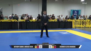 Segundo Alexis Arancibia vs Anthony Gabriel Andrade Silva 2026 Pan IBJJF Jiu-Jitsu No-Gi Championship