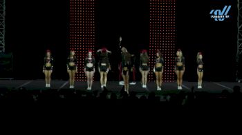GymTyme Illinois - Twist [2025 L5 Senior Coed Day 1] 2025 ASC King of the Jungle Schaumburg Showdown
