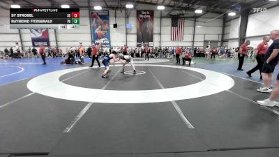 145 lbs Consi Of 8 #2 - Sy Strobel, SC vs Raymond Fitzgerald, PA