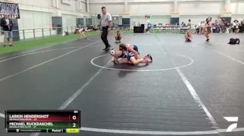 84 lbs Finals (2 Team) - Michael Ruckdaschel, Revolution Elite vs Larkin Hendershot, Revolution/WVW