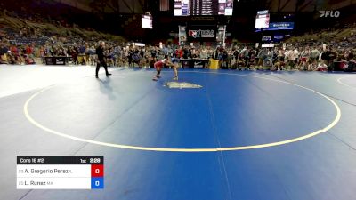 105 lbs Cons 16 #2 - Alex Gregorio Perez, IL vs Lily Runez, MA