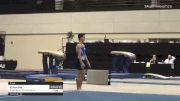 Ethan Rio - Floor, Bright Raven Gymnastics Inc. - 2021 USA Gymnastics Development Program National Championships