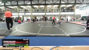 77-81 lbs Quarterfinal - Cooper Whiting, Force Elite vs Tanner Brucker, Falcon Youth Wrestling