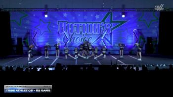 Tribe Athletics - S2 Gang [2025 L2 Senior Day 1] 2025 Nation's Choice Dance Grand Championship & Cheer Showdown
