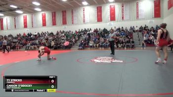 144 lbs Semifinal - Ty Stricko, Canfield vs Carson D`Sidocky, Kent Roosevelt