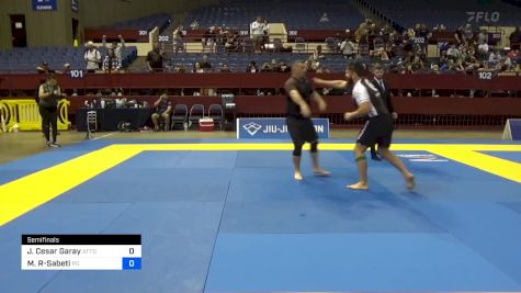 Julio Cesar Garay vs Michael A Rakshan-Sabeti 2024 Pan IBJJF Jiu-Jitsu No-Gi Championship