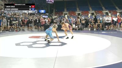 132 lbs Champ. Rd Of 64 - Jack Cole, Pennsylvania vs Ayden Ledesma, Ohio