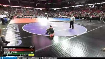 D1-113 lbs Champ. Round 1 - Carter Sterba, New Richmond vs Cael Zelinski, Muskego