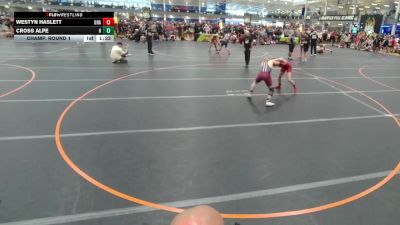 144 lbs Champ. Round 1 - Cross Alpe, Unattached vs Westyn Haslett, Unattached