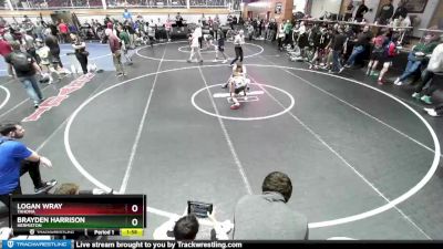 98 lbs Cons. Round 2 - Brayden Harrison, Hermiston vs Logan Wray, Tahoma