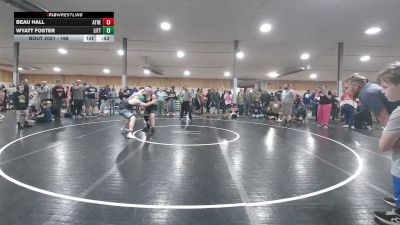 166 lbs Semifinal - Beau Hall, Athens vs Wyatt Foster, Little Falls